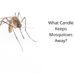 What Candle Keeps Mosquitoes Away?