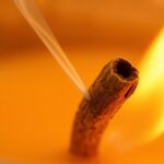 physics of crackling wood
