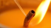 physics of crackling wood