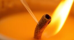 physics of crackling wood