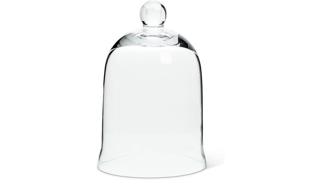 carolyn bell glass cloche