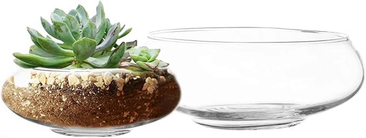 elegant round glass vases