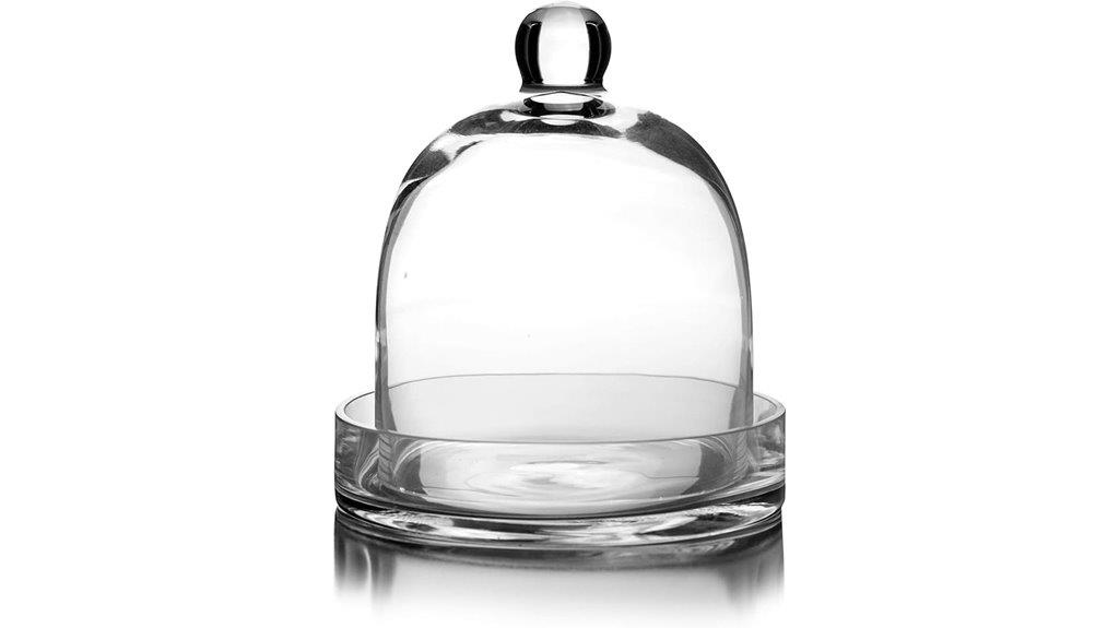 glass bell dome cloche