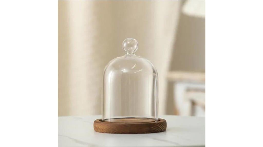 glass dome vase set
