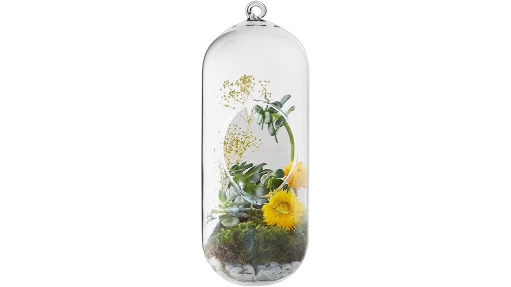 hanging glass terrarium capsules