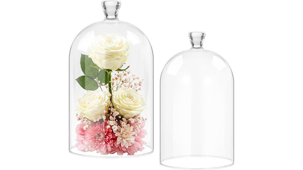 two glass dome sets