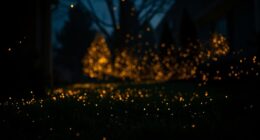 fireflies vanishing in america