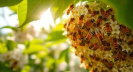honeybee decline endangers food