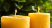 palm wax sustainability concerns