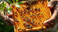 supporting ethical bee practices