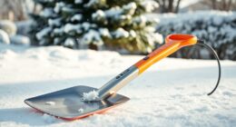 top electric snow shovels