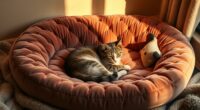 top heated pet bed selection