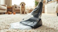 top pet carpet cleaning tools