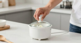 10 Best Wax Melter For Beginners In 2026