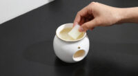 11 Best Plug In Wax Warmer Decorative in 2026