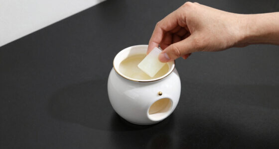 11 Best Plug In Wax Warmer Decorative in 2026