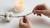 14 Best Cotton Wicks for Soy Candles in 2026