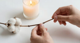 14 Best Cotton Wicks for Soy Candles in 2026