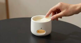 8 Best Wax Melt Warmer Luxury in 2026
