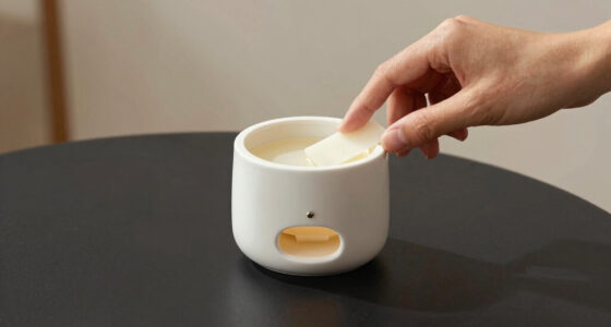 8 Best Wax Melt Warmer Luxury in 2026