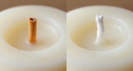 wooden vs cotton wicks