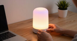 10 Best Decorative LED Desk Lamps in 2026
