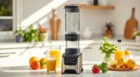Beat the Heat: Tips & Hacks for Using the Ninja Blast Max Portable Blender This Summer