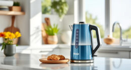 Beat the Summer Heat with Ninja KT200BL Precision Temp Kettle