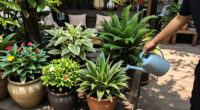 Hanoi Seasons Garden: Key Amenities Enhancing Living Experience