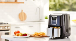 Ninja Air Fryer 4 Qt: Your Summer Kitchen Companion