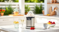 Ninja CREAMi Deluxe: The Ultimate Summer Ice Cream Maker Comparison