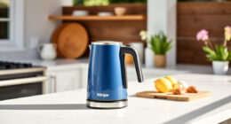 Ninja KT200BL Precision Temp Kettle: Perfect for Summer Tea & Coffee