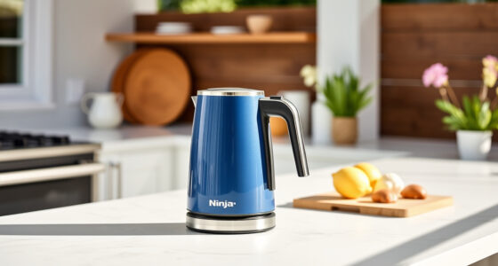 Ninja KT200BL Precision Temp Kettle: Perfect for Summer Tea & Coffee