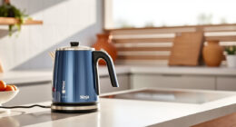 Summer Care for Your Ninja KT200BL Electric Kettle