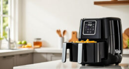 Summer Care Tips for Your Ninja Air Fryer 4 Qt