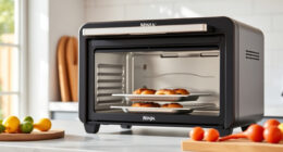Summer Grilling and Snacking Made Easy with the Ninja Foodi XL Pro Air Oven