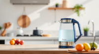 Summer Sips: Must-Have Accessories for Your Ninja KT200BL Electric Kettle