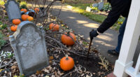15 Best Halloween Outdoor Graveyard Decorations for a Spooky Yard in 2027
